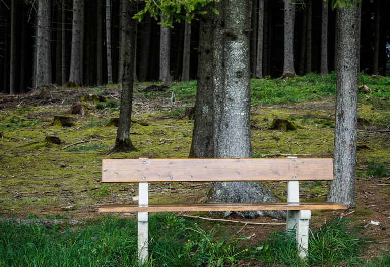 Tag_der_Arbeit_2025_-_Aktuelles_HP.png 